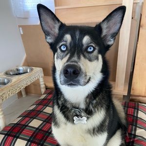 💕 Pet Friendly, Smoke Free House 💕